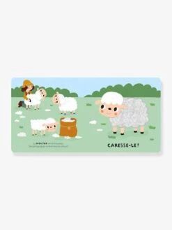 Coffret à Toucher - Les Animaux De La Ferme - AUZOU Bleu - Auzou -Enfant Jouet Boutique coffret a toucher les animaux de la ferme auzou 3