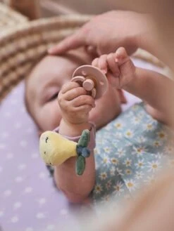 Hochets Mains Et Pieds DOUCE PROVENCE Violet - Douce Provence - Vertbaudet -Enfant Jouet Boutique hochets mains et pieds douce provence 5