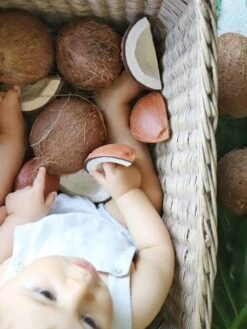 Jouet De Dentition Coco La Noix De Coco - OLI & CAROL Marron - Oli Et Carol 11 Jouet De Dentition Coco La Noix De Coco - OLI & CAROL Marron - Oli Et Carol -Enfant Jouet Boutique jouet de dentition coco la noix de coco oli carol 5