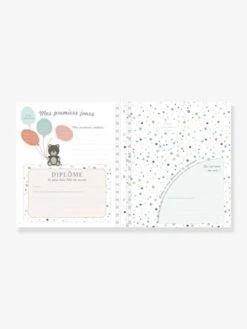 Livre De Naissance - Il était Une Fois Bébé LAROUSSE Bleu - Hachette -Enfant Jouet Boutique livre de naissance il etait une fois bebe larousse 3