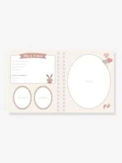 Livre De Naissance - Il était Une Fois Bébé LAROUSSE Bleu - Hachette -Enfant Jouet Boutique livre de naissance il etait une fois bebe larousse 5