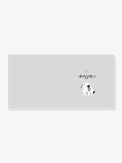 Livre De Naissance - Mon Livre De Bébé Mimi’lou HACHETTE PRATIQUE Blanc - Hachette -Enfant Jouet Boutique livre de naissance mon livre de bebe mimilou hachette pratique 2