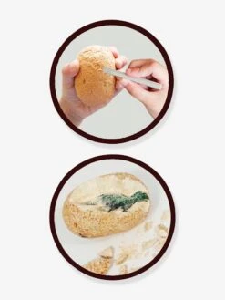 Maxi Pack 12 Oeufs Dinosaures - BUKI Orange - Buki -Enfant Jouet Boutique maxi pack 12 oeufs dinosaures buki 2