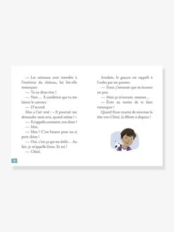 Mes Premières Enquêtes - T.1 - Le Fantôme Du Château - AUZOU Marron - Auzou -Enfant Jouet Boutique mes premieres enquetes t.1 le fantome du chateau auzou 2