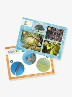 Mini Sciences - Microscope - BUKI Vert - Buki -Enfant Jouet Boutique mini sciences microscope buki 2