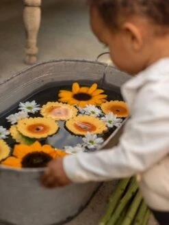 Sun Le Tournesol - OLI & CAROL Jaune - Oli Et Carol -Enfant Jouet Boutique sun le tournesol oli carol 3