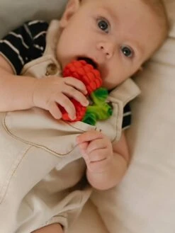 Valery La Framboise - OLI & CAROL Rouge - Oli Et Carol -Enfant Jouet Boutique valery la framboise oli carol 2