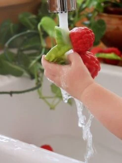 Valery La Framboise - OLI & CAROL Rouge - Oli Et Carol -Enfant Jouet Boutique valery la framboise oli carol 3