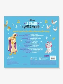 Various Disney - Livre Piano HACHETTE Multicolor - Disney -Enfant Jouet Boutique various disney livre piano hachette 2
