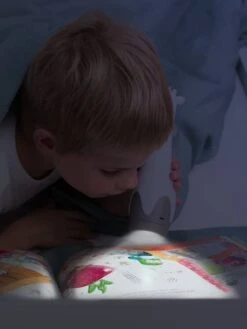 Veilleuse Torche Gina La Girafe - ZAZU Gris - Toutes Les Marques 10 Veilleuse Torche Gina La Girafe - ZAZU Gris - Toutes Les Marques -Enfant Jouet Boutique veilleuse torche gina la girafe zazu 4